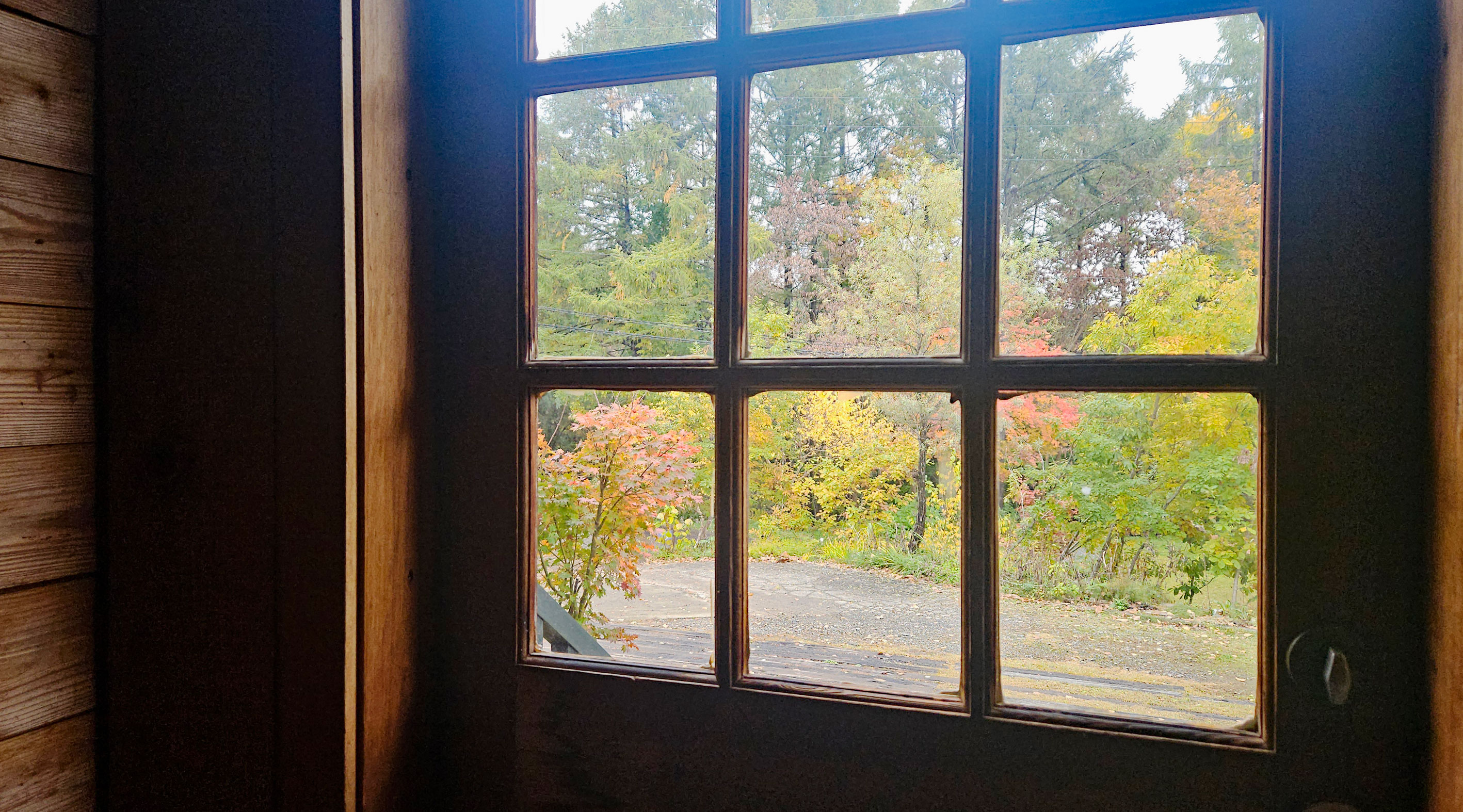 20251101_玄関ドアから眺めた紅葉