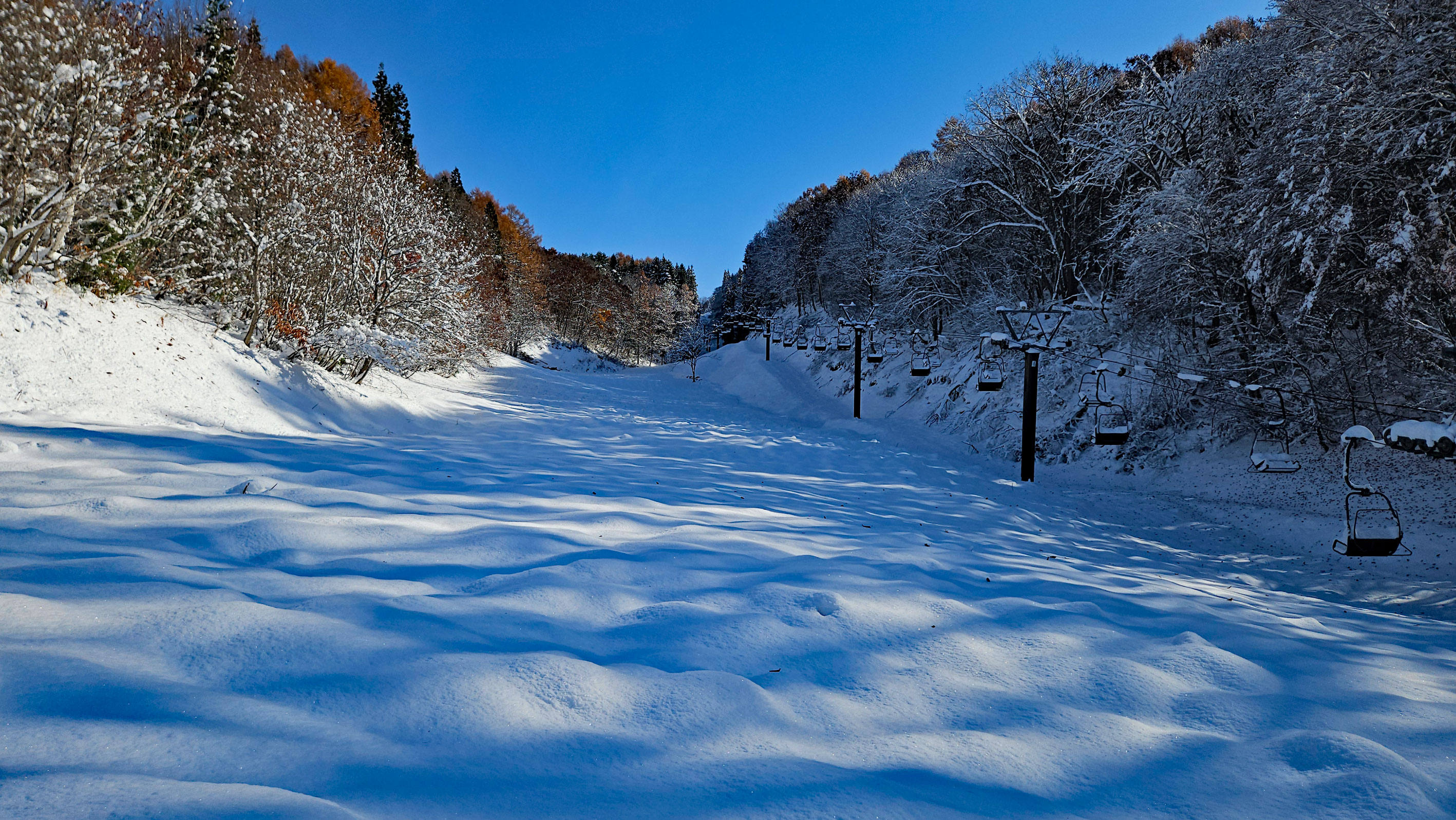 20251119_タングラム第6リフト乗り場付近ゲレンデ