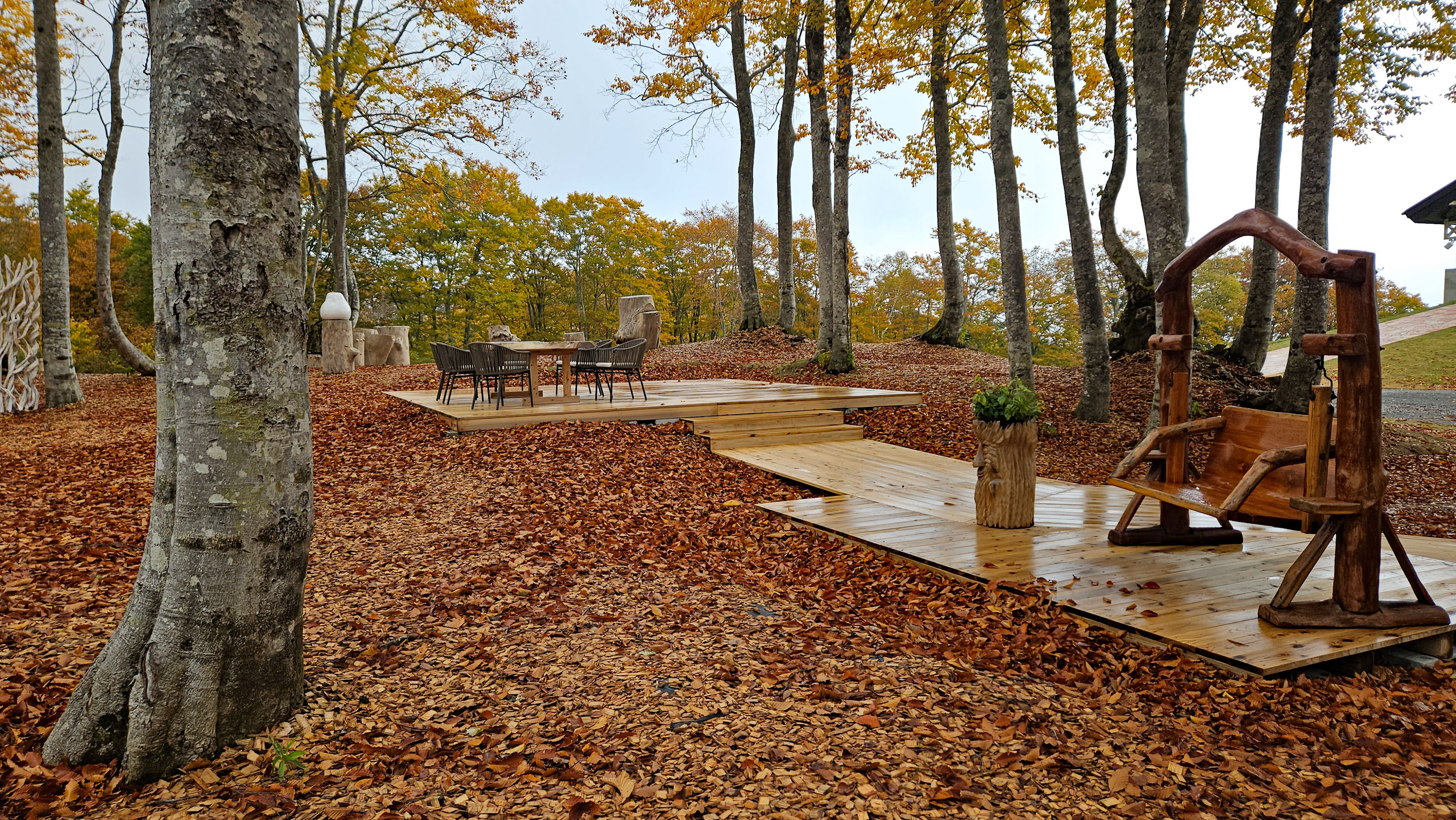 20251029_赤倉スカイケーブル山頂駅周辺1