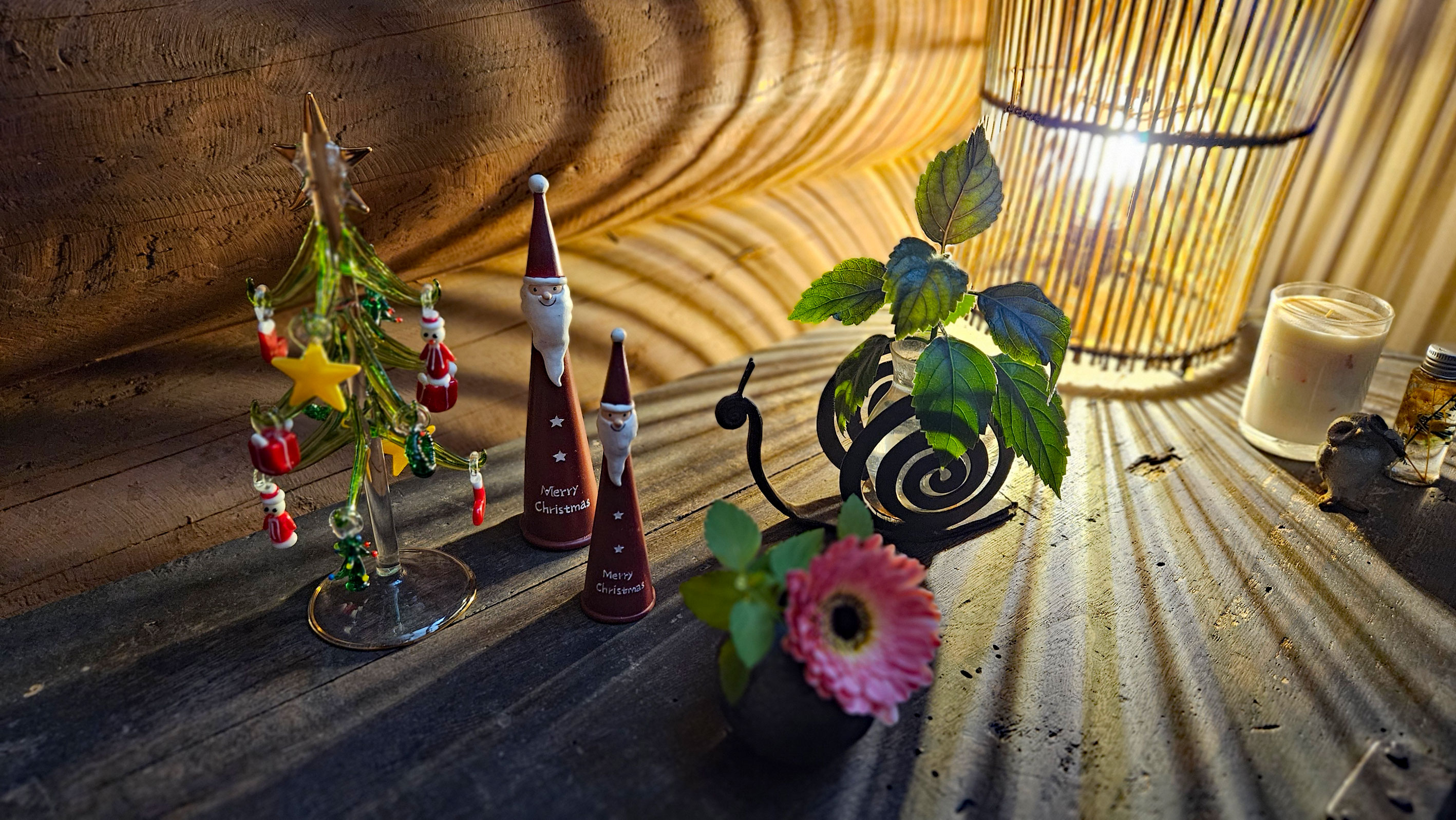 20251113_クリスマス飾り　通路