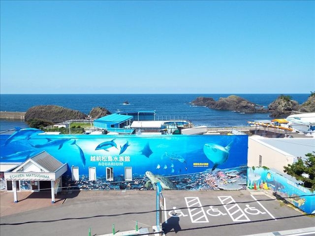 【至高の薬味で味わう】若狭牛しゃぶしゃぶ×自家製ポン酢と伝統薬味「山うに」＆海鮮会席