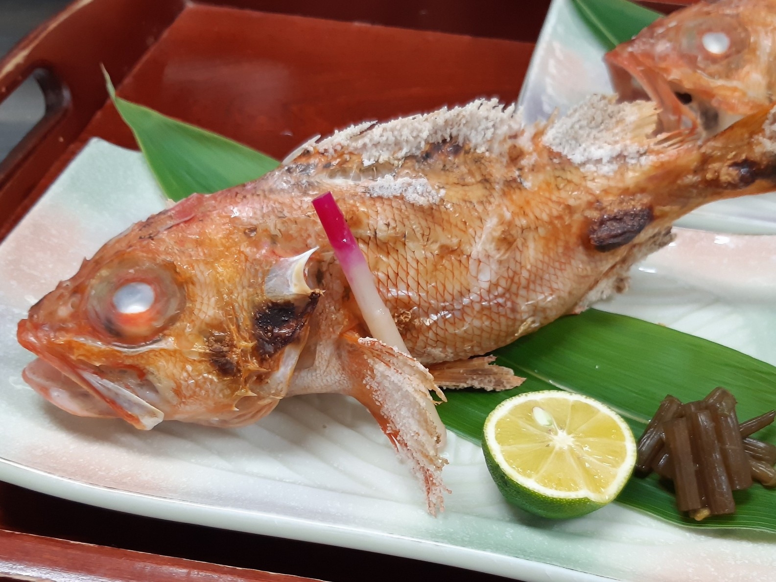 幻の高級魚　ユメカサゴの塩焼き付海鮮プラン