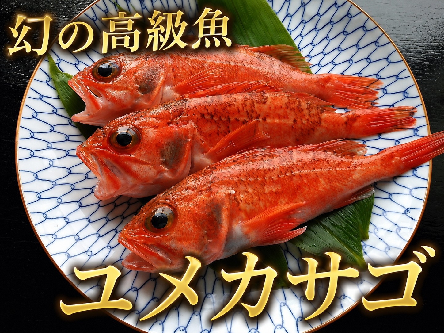【三国の新名物】ユメカサゴ塩焼き付海鮮会席