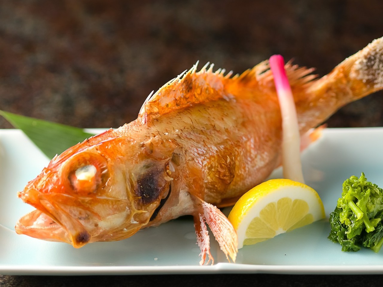 幻の高級魚「ユメカサゴ」の塩焼き
