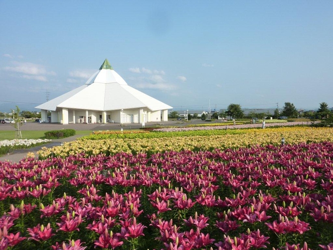 ゆりの里公園（坂井市春江町）宿から車で２０分