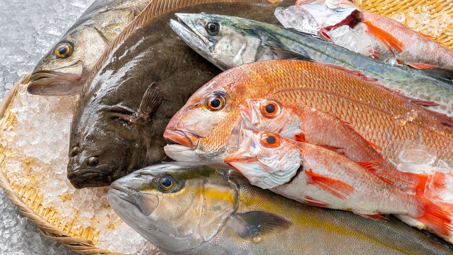 ■【食の仕入れ】メインとなる魚は、料理長自ら仕入れており、魚屋さんが直接届けてくれます ※イメージ