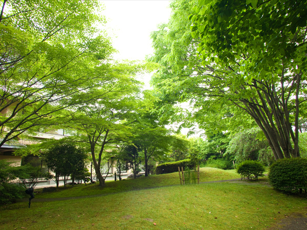 緑が綺麗な、当館自慢の中庭（2013年撮影）