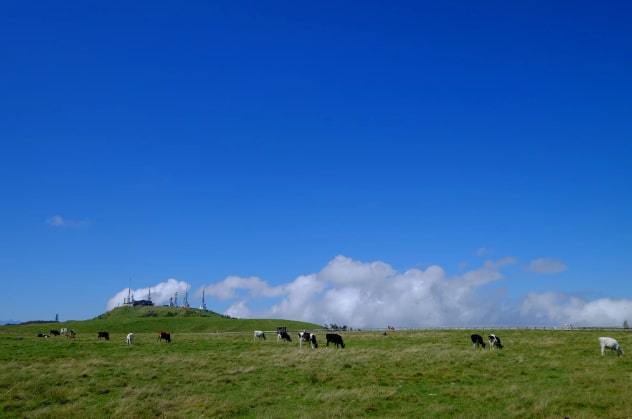 【朝食をお弁当へ変更可能な特典付き】霧ヶ峰や車山高原へアクセス良好ハイキング・登山プラン