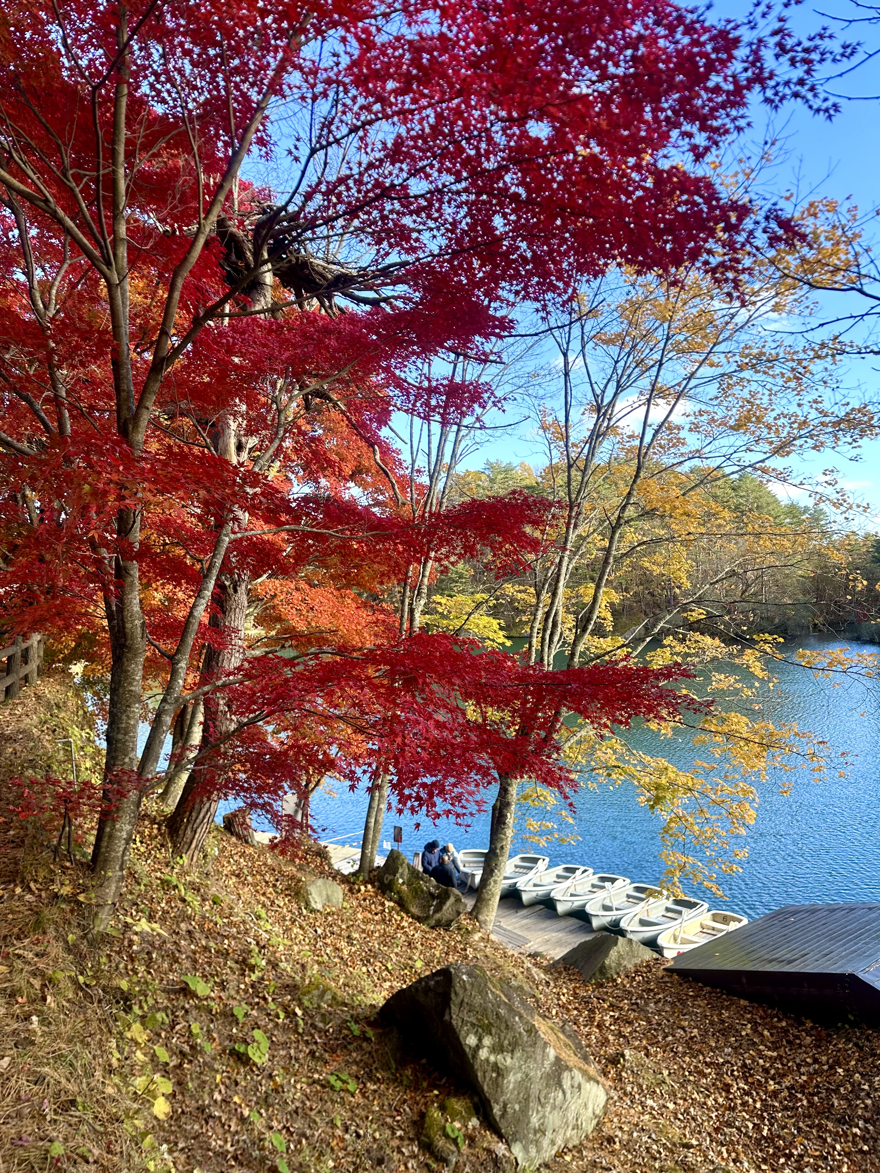 紅葉の五色沼