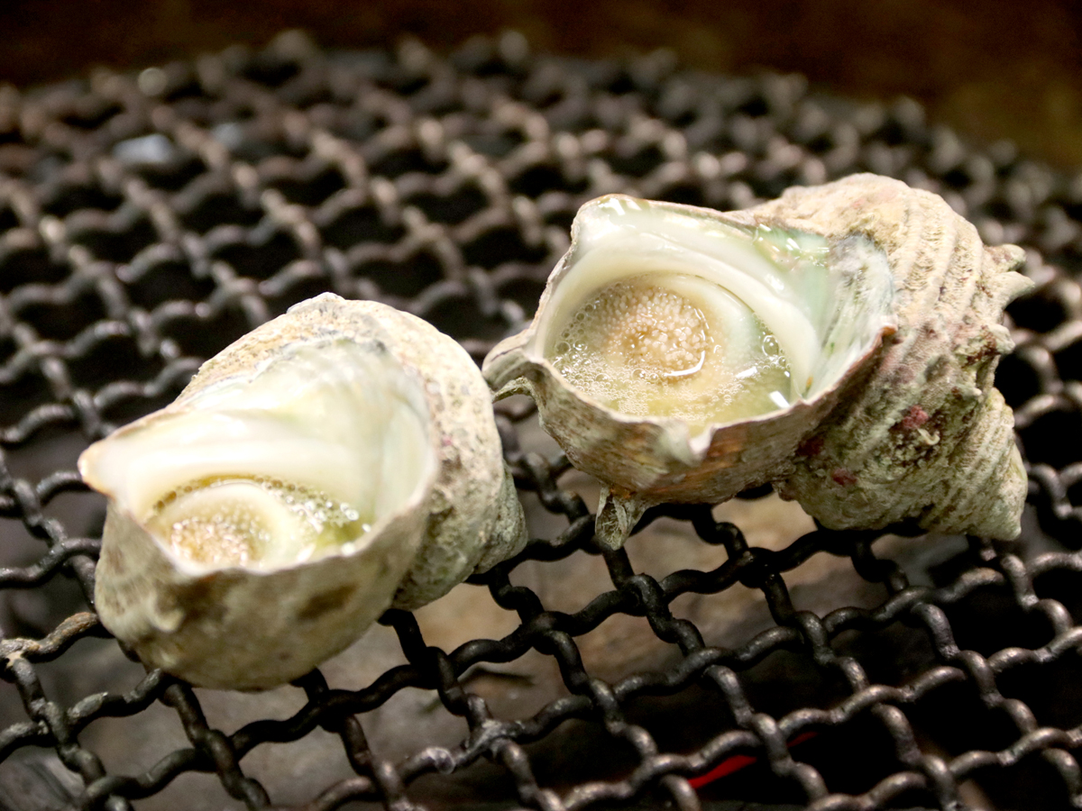 【サザエの炭火焼き】