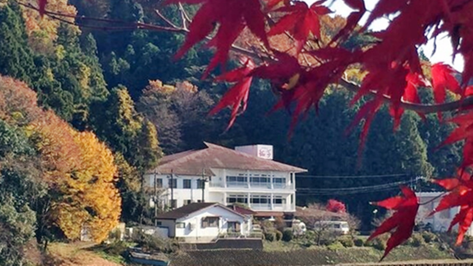 【秋・冬限定】子持ち鮎の塩焼き＋奥久慈しゃも鍋｜鮎と奥久慈の魅力を味わう2食付プラン