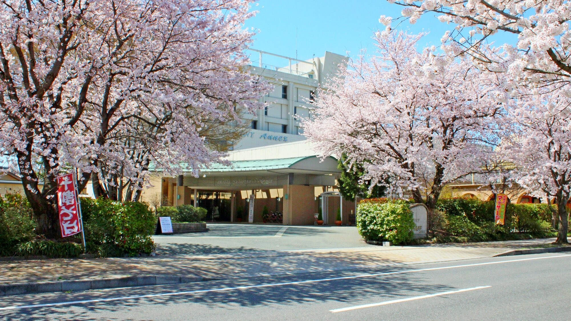 ホテルから望む桜並木！