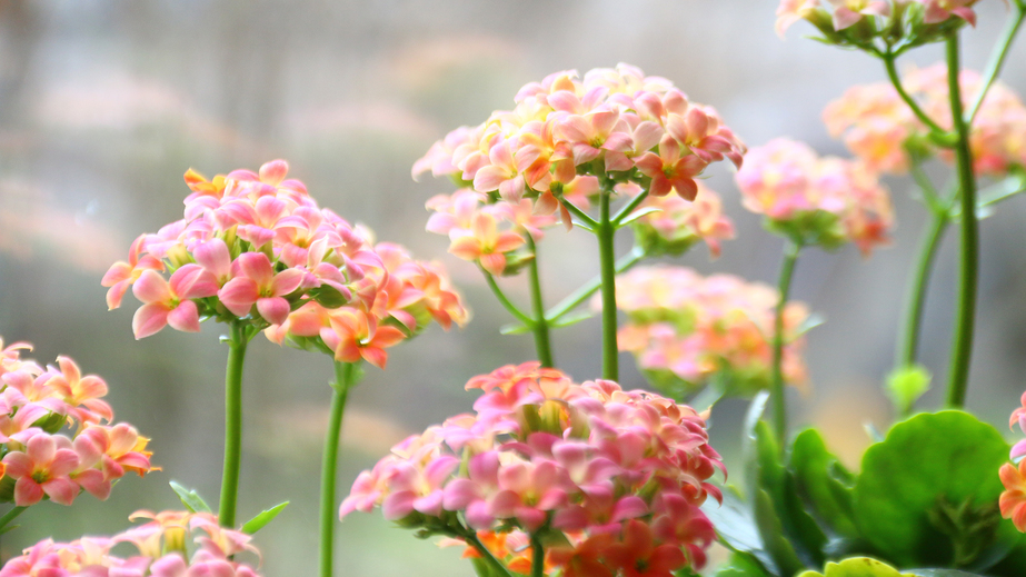 写真7