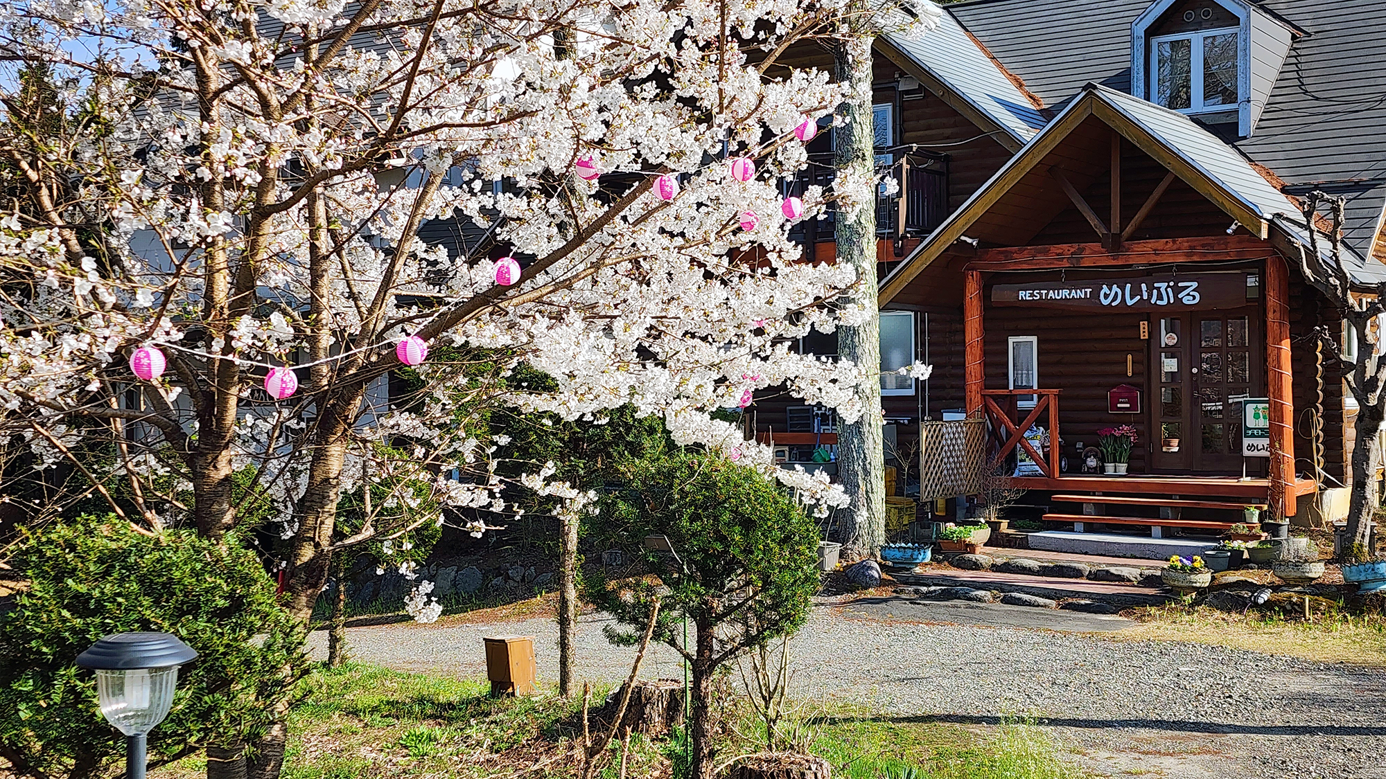 【外観】 温かな桜の季節