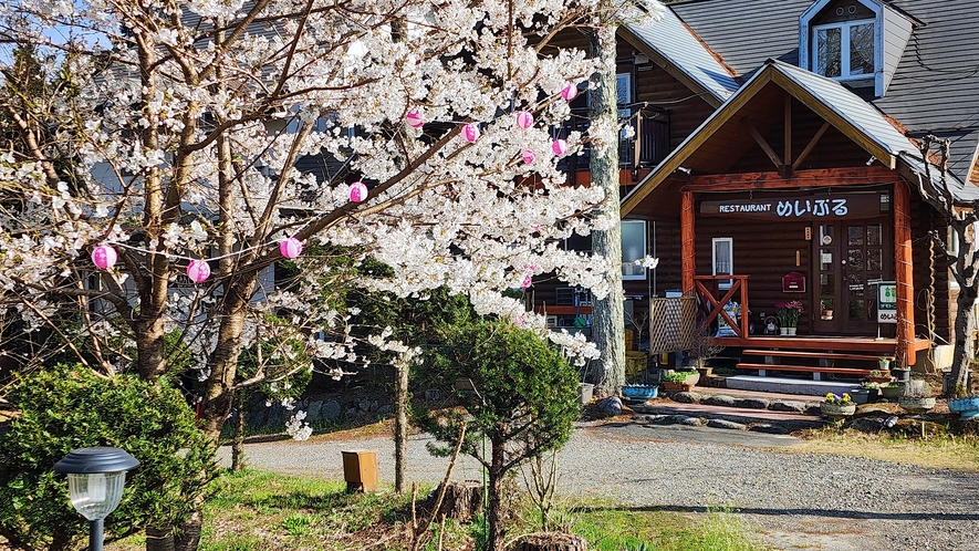 【外観】 温かな桜の季節