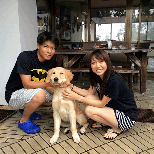 サーフサイドbed breakfast 設備 アメニティ 基本情報 楽天トラベル サーフサイドbed breakfast 設備 アメニティ 基本情報 楽天トラベル