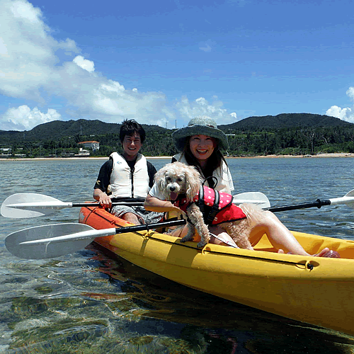 サーフサイドbed breakfast 設備 アメニティ 基本情報 楽天トラベル サーフサイドbed breakfast 設備 アメニティ 基本情報 楽天トラベル