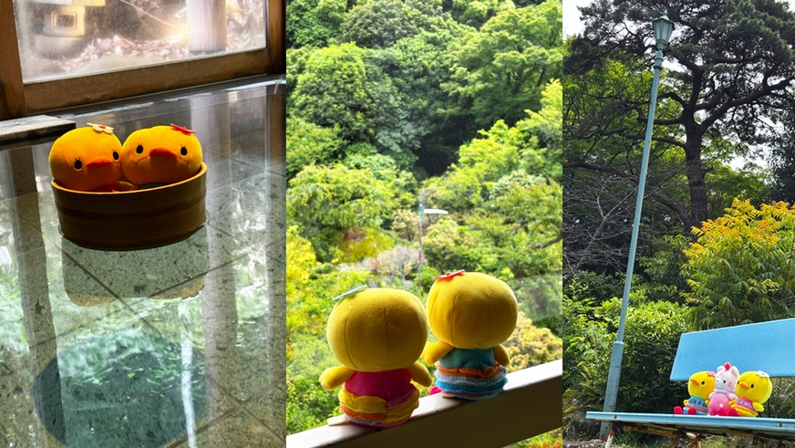 【ぬい活応援】ぬい・アクスタ撮影お部屋や庭園で楽しむ温泉【1泊2食付・食事処】＜基本＞