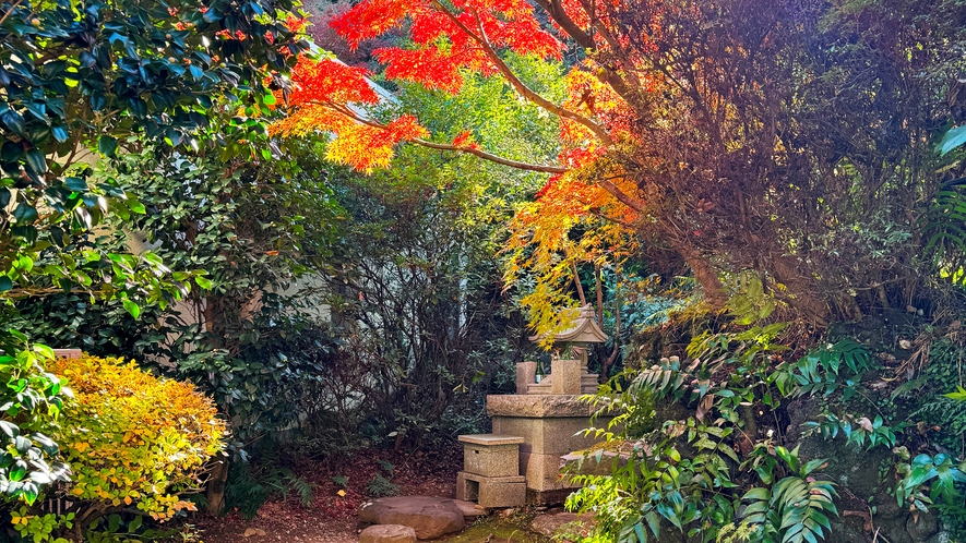 【四千坪の庭園】走り湯神社