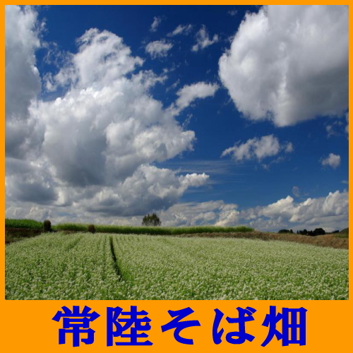 ビジネスホテル トキワ＜茨城県＞ - 写真 249