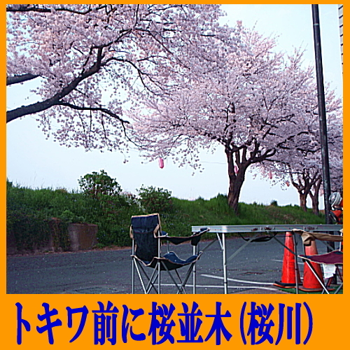 ビジネスホテル トキワ＜茨城県＞ - 写真 240