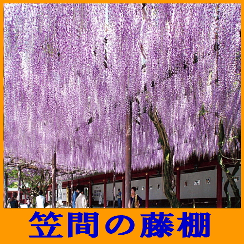 ビジネスホテル トキワ＜茨城県＞ - 写真 242