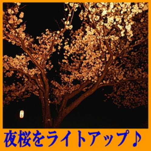 夜桜をライトアップ（4月上旬〜中旬）