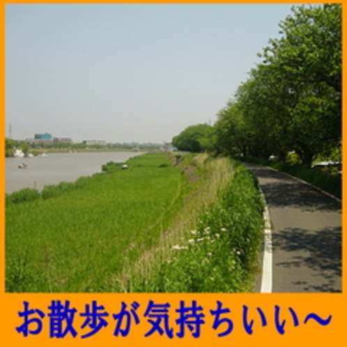 トキワの前の桜川（お散歩がきもちいい〜）
