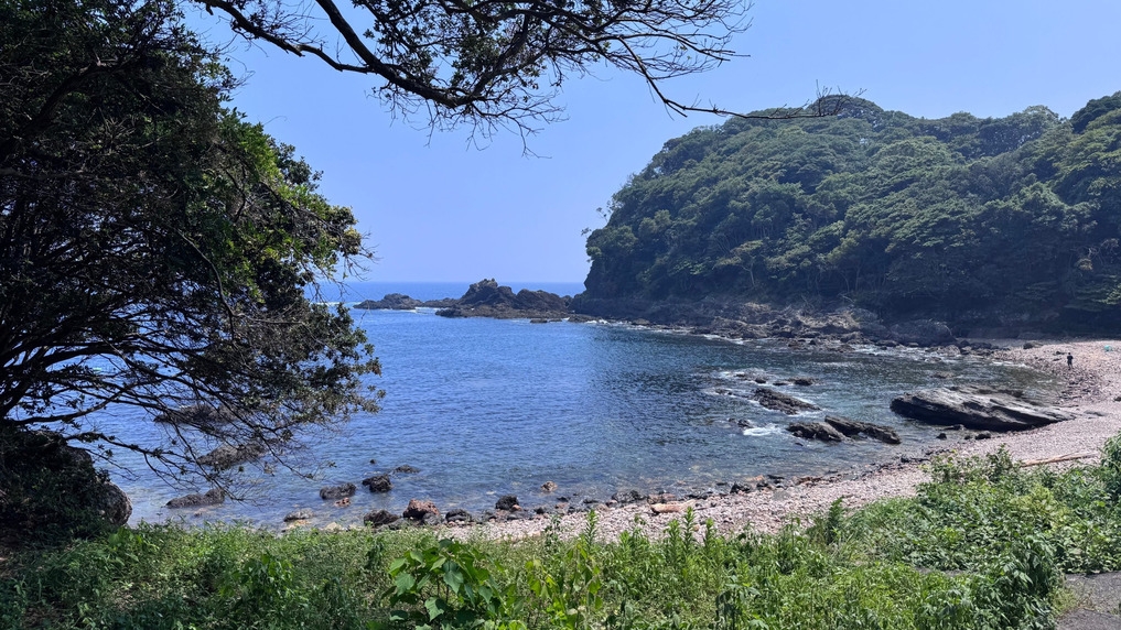 【クリスマス8組限定】水深25m。海と時が紡ぐ海底熟成ワイン飲み比べ