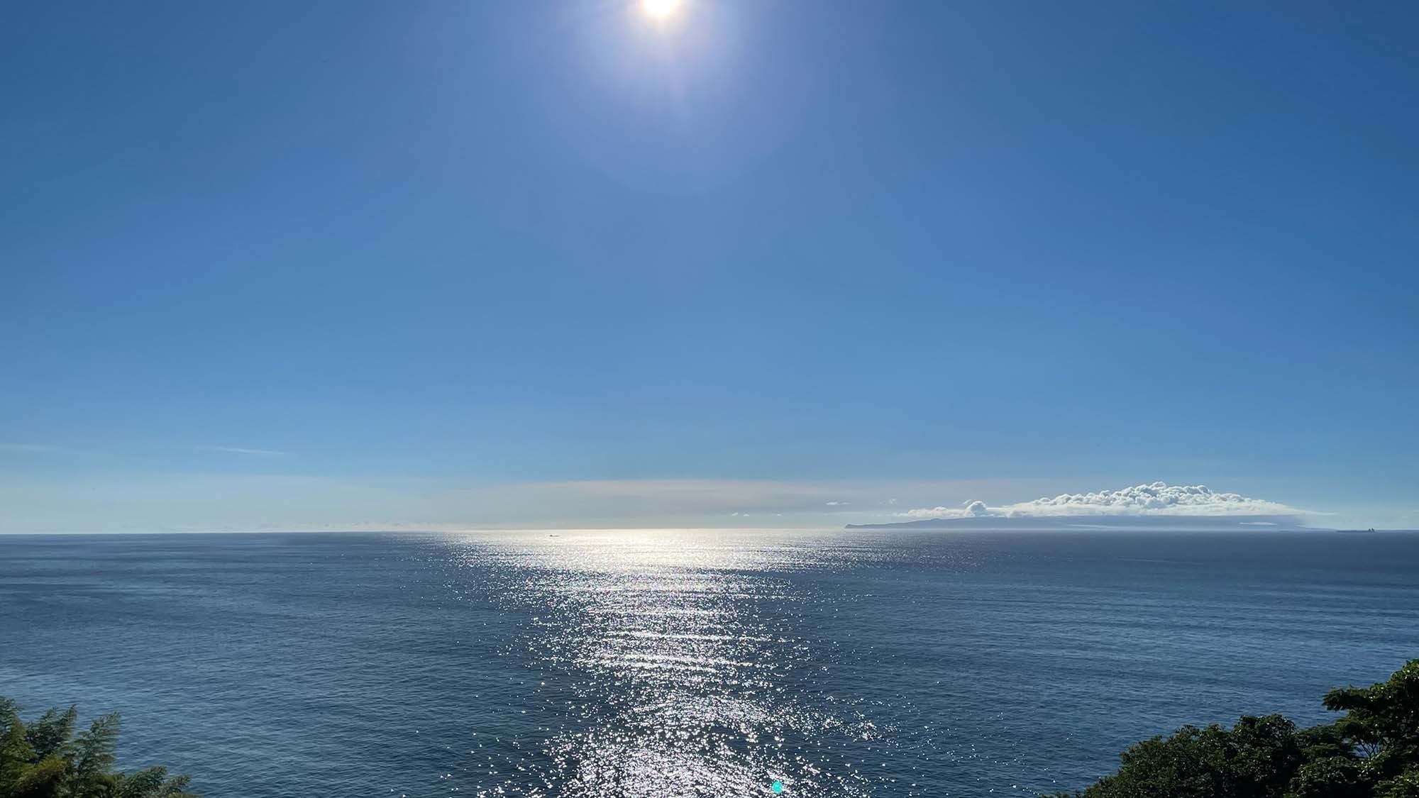 【年末年始】★12/30〜1/2限定★伊豆の恵みと海暁のリトリート