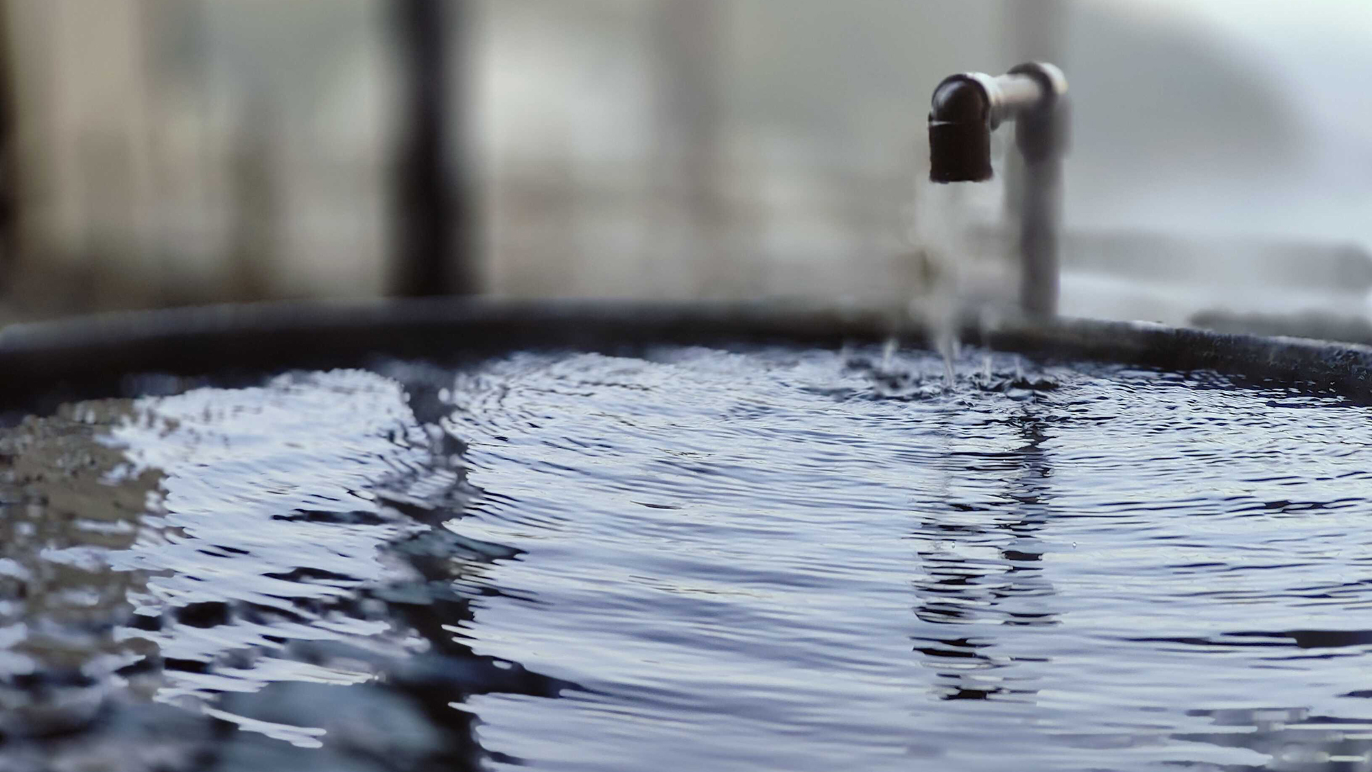 露天風呂（温泉）