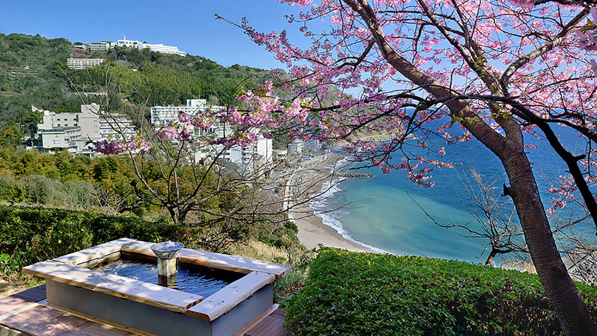 ロビー前の足湯（桜の季節）