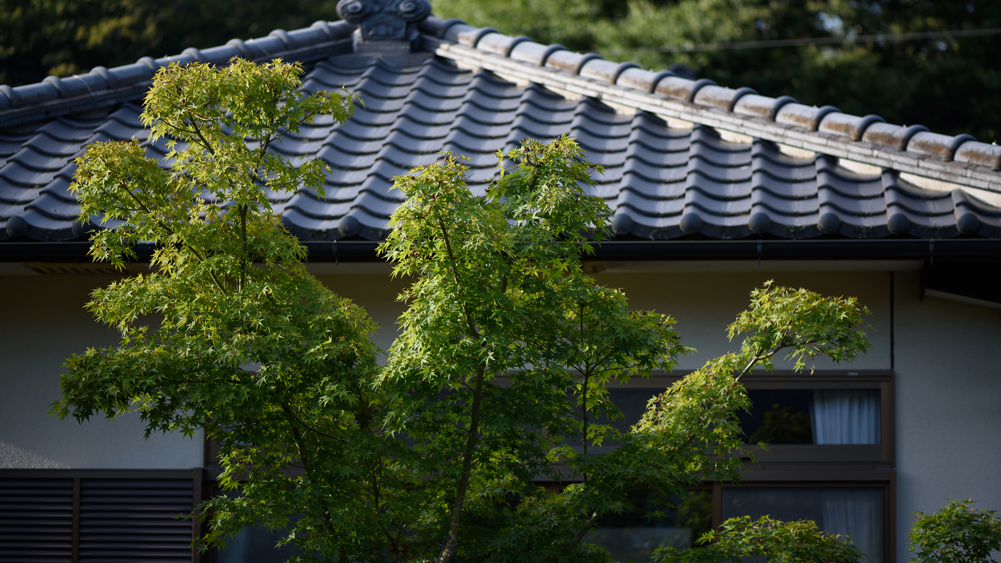 ●【一戸建て離れ】外観