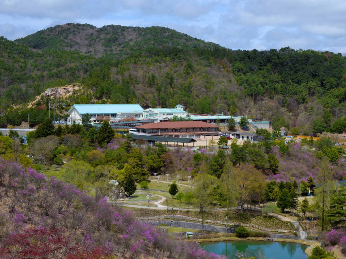 心と身体の癒しの森 るり渓温泉 宿泊予約 楽天トラベル 心と身体の癒しの森 るり渓温泉 宿泊予約 楽天トラベル