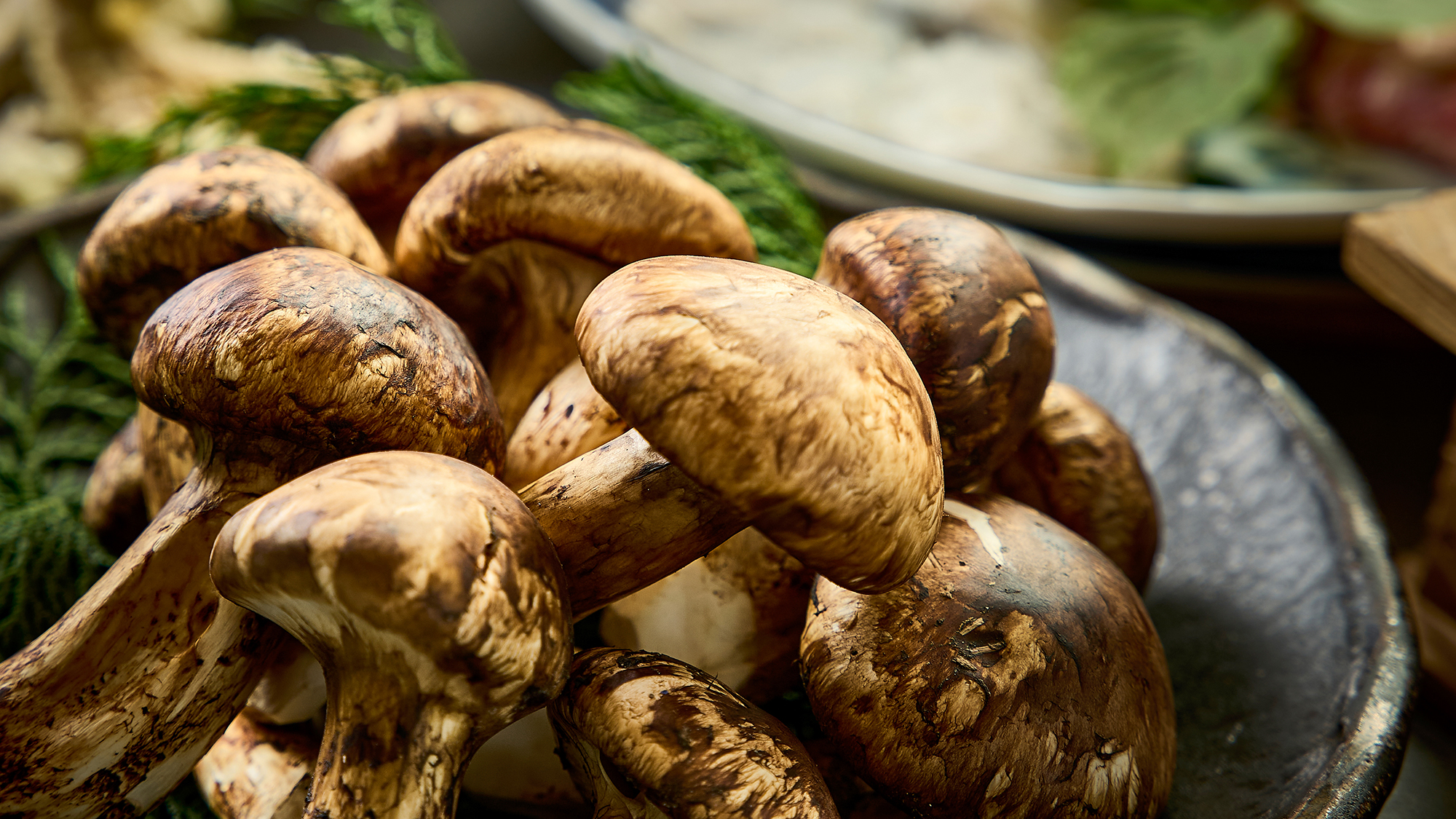 【焼き松茸】風味豊かな国産松茸を贅沢に使用。香ばしく焼き上げた一本松茸は秋ならではの逸品。