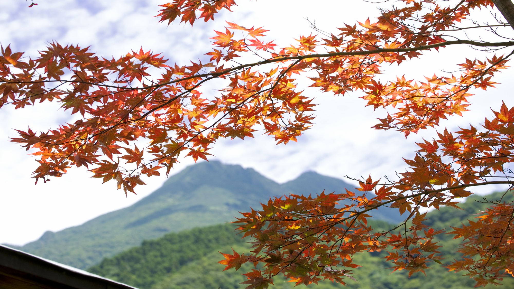 中庭からの由布岳