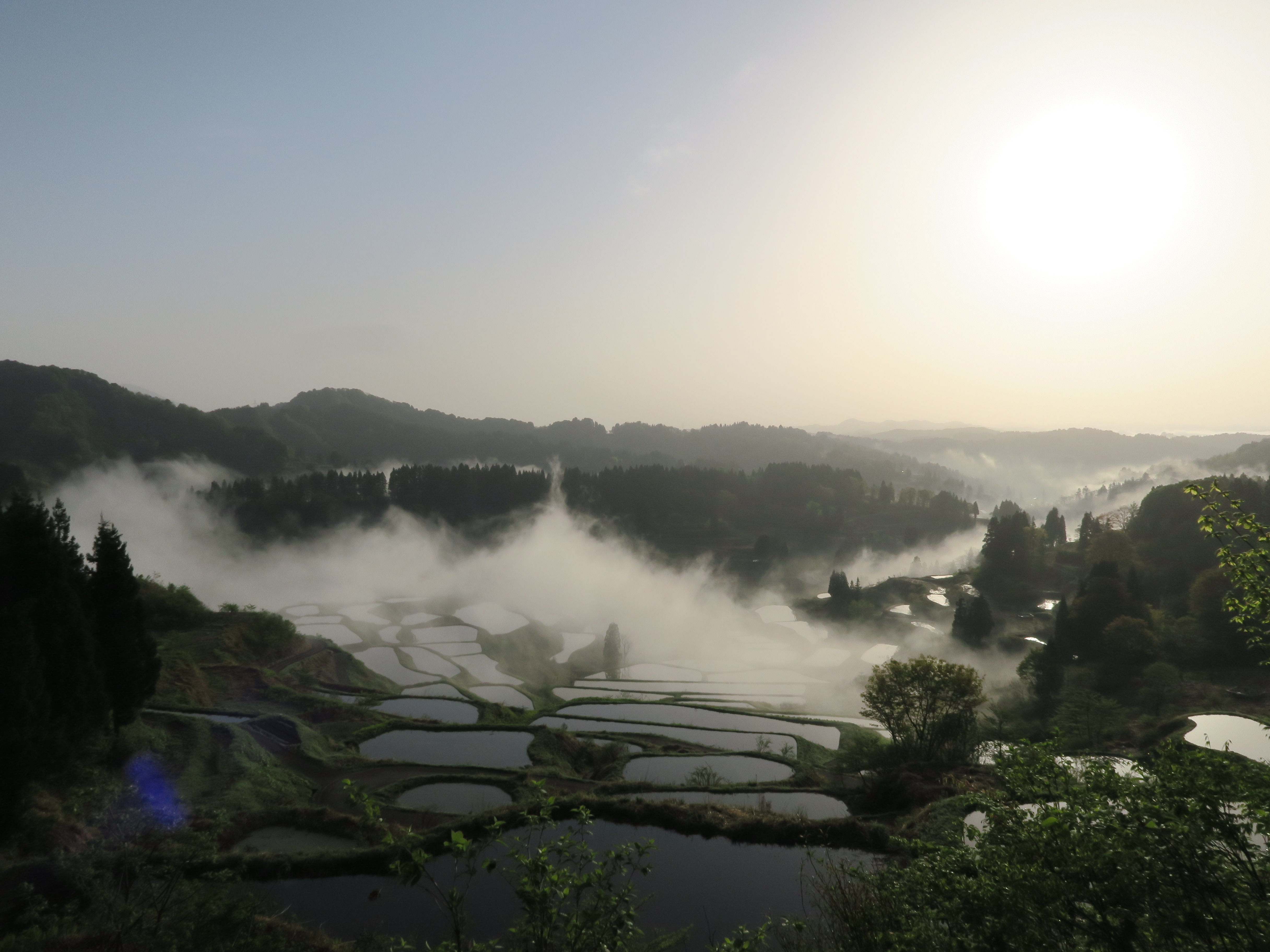 星峠の棚田