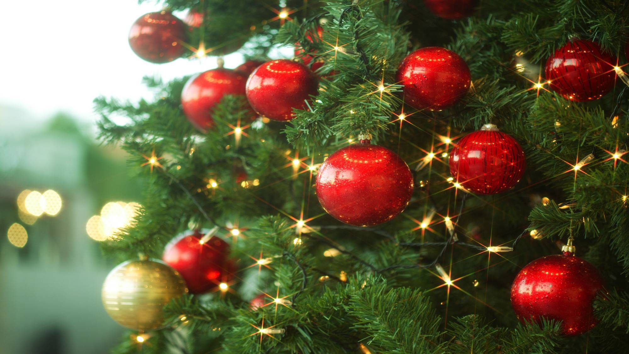 ☆2023 Christmas☆パティシエ特製クリスマスケーキ付プラン／素泊まり