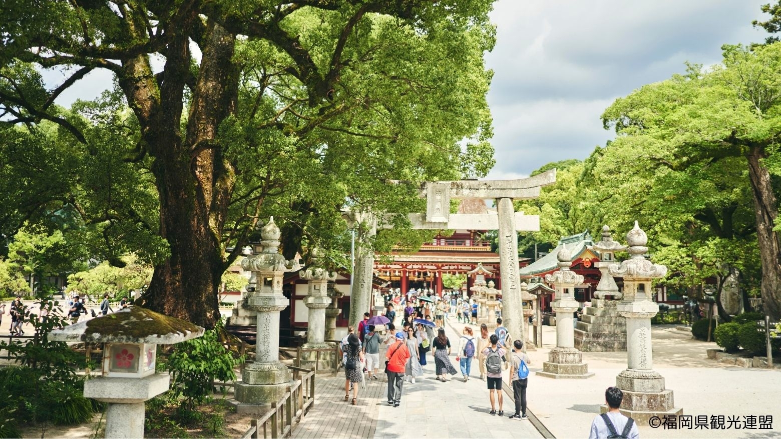 【春SALE】〜朝食付き〜　家族旅行・お友達旅行や自由気ままなひとり旅にもおすすめ♪