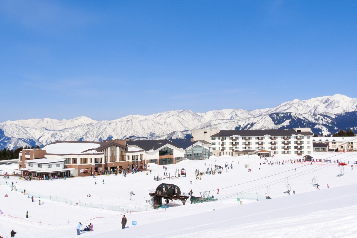 【ブランド魚・若狭ふぐ会席】＜19:00入店＞極上の旨味！福井が誇る“フグの王様”を堪能／2食付○