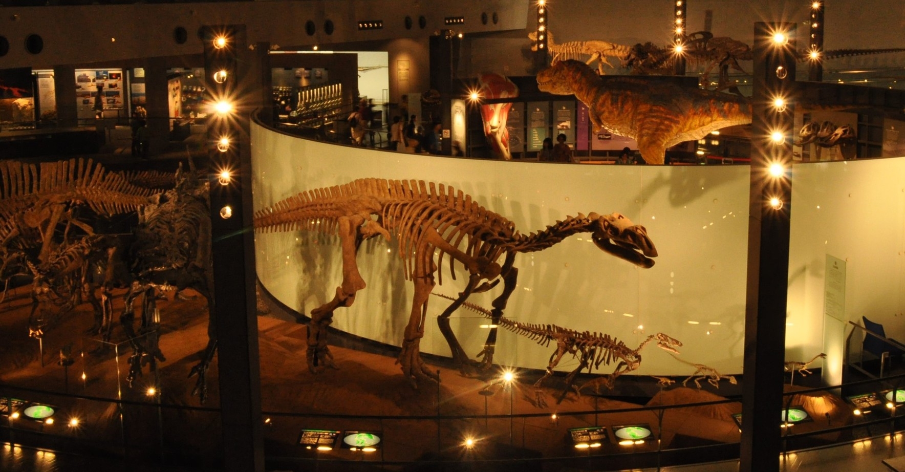 【1泊朝食付　期間限定「恐竜博物館」特別展チケット付】北米の恐竜化石が日本初上陸！常設展も入場可□