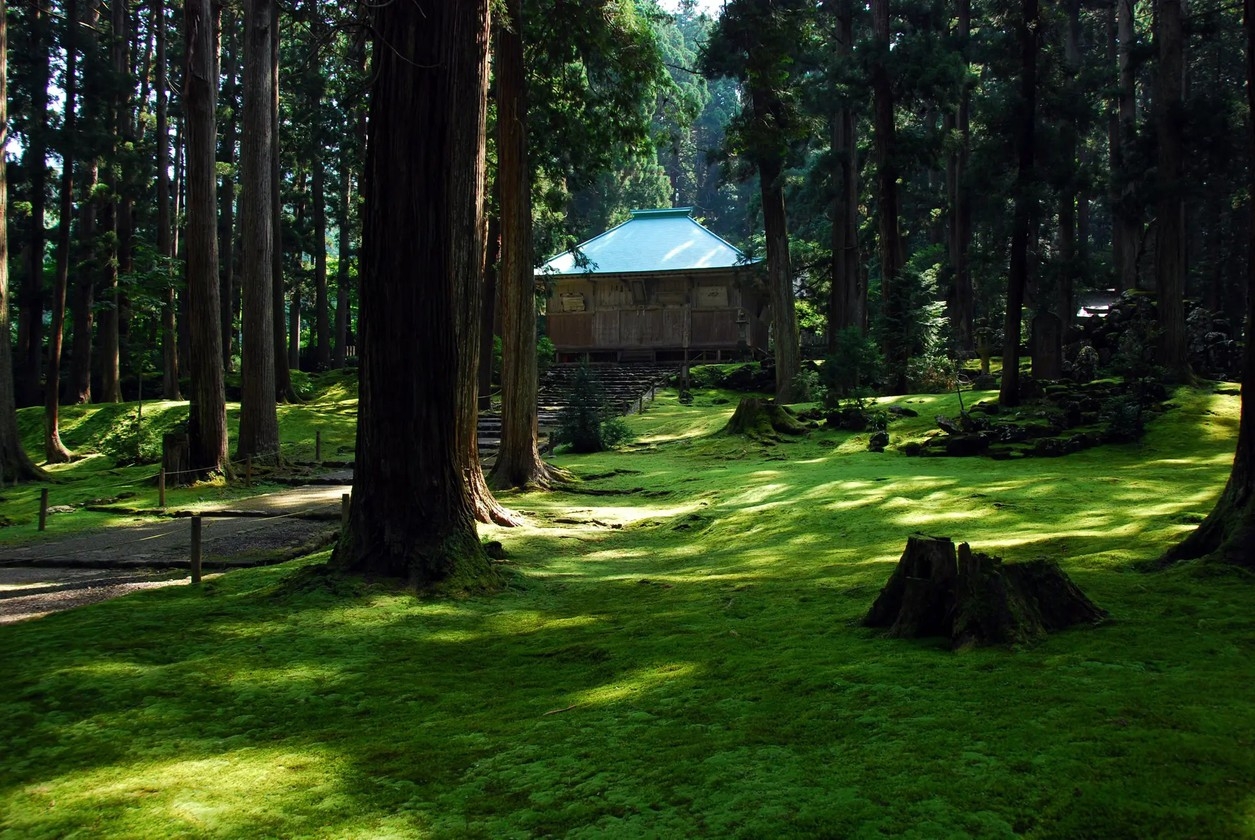 【「白山平泉寺」まで無料送迎付き　火曜日ご宿泊〜水曜日出発】1泊2食付プラン◇天然温泉完備