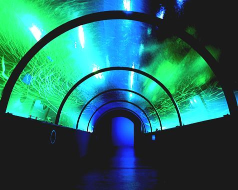 登別温泉 名湯の宿 パークホテル雅亭 - 写真 56