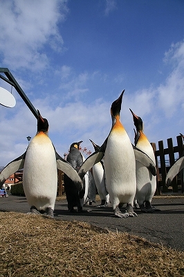 登別温泉 名湯の宿 パークホテル雅亭 - 写真 58