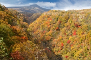 登別　紅葉