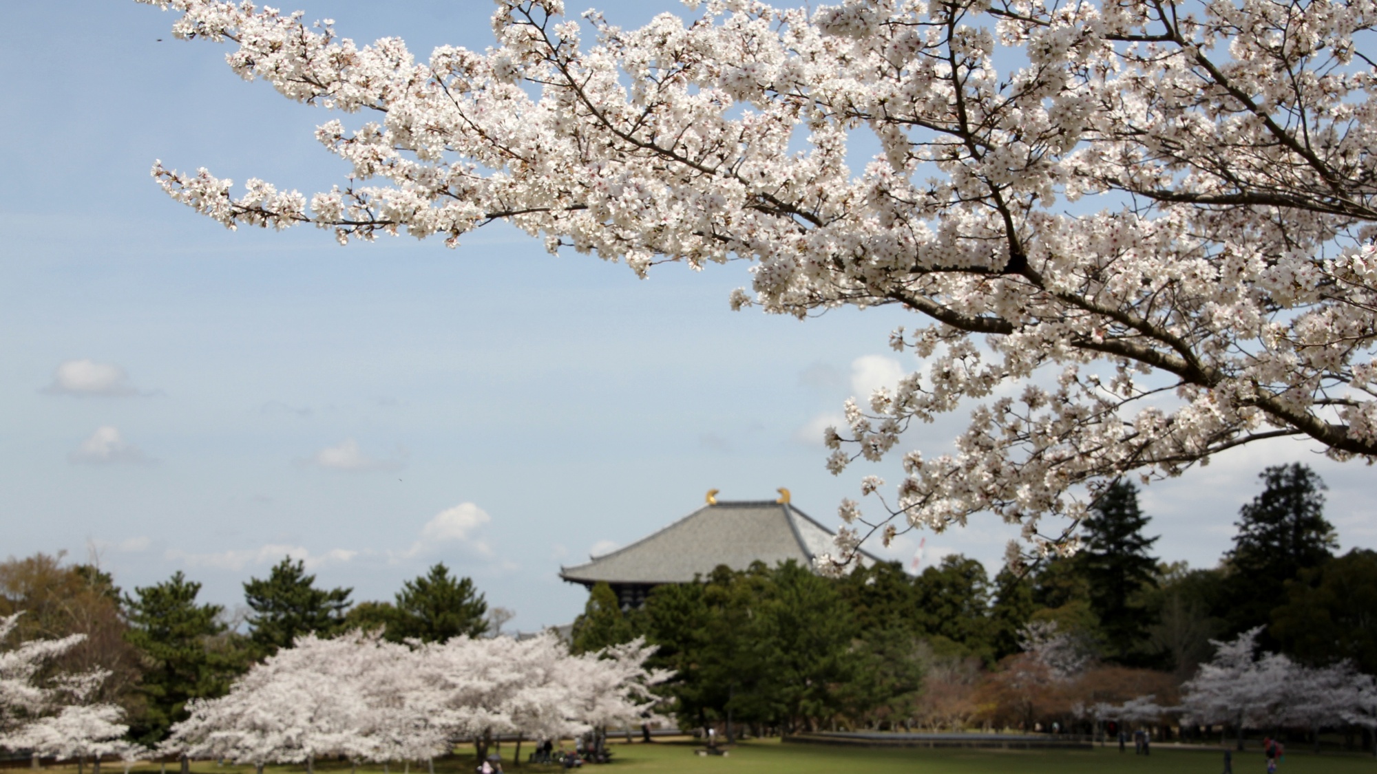 *【周辺観光】東大寺