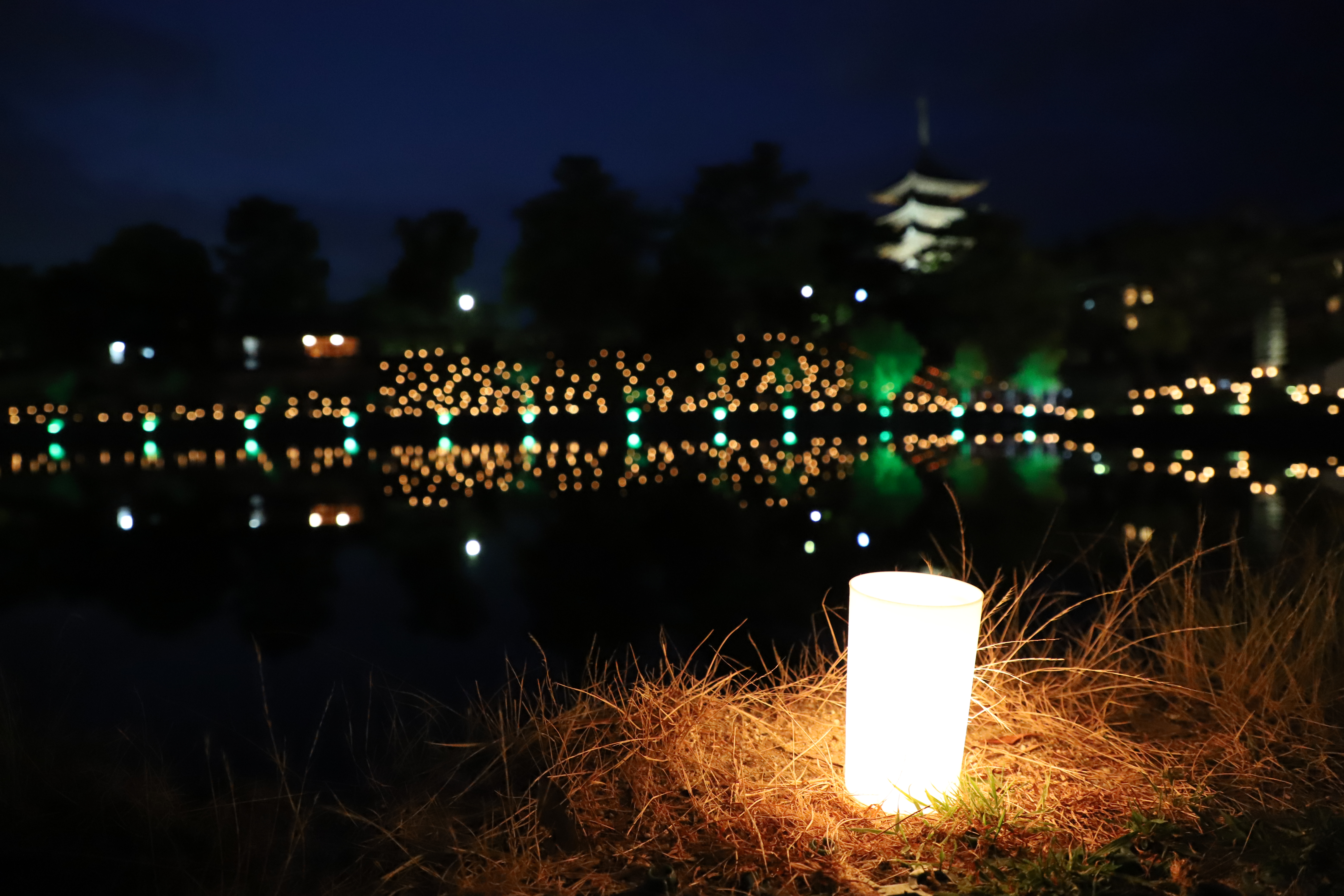 燈花会2018 猿沢池