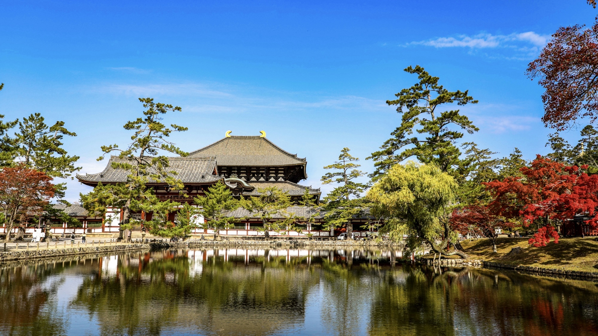 *【周辺観光】東大寺