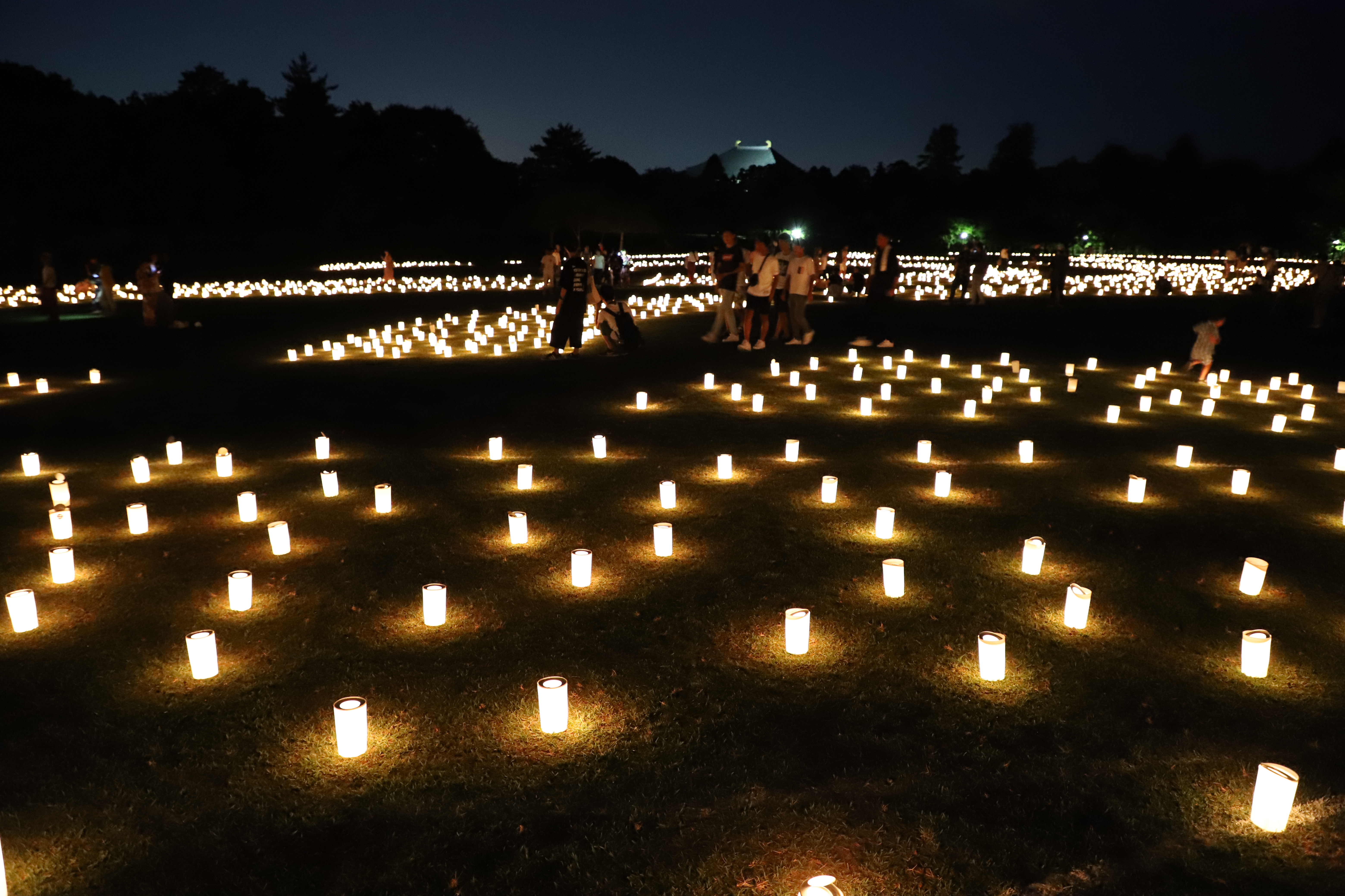 燈花会2018 東大寺