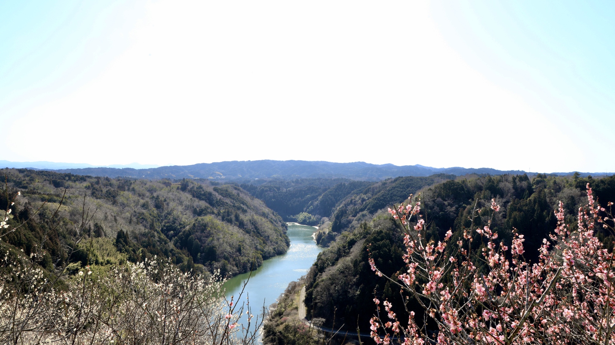 *【周辺観光】月ヶ瀬梅林